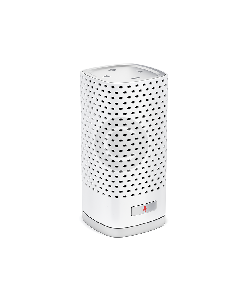 Bluetooth Music Player Smart IP Camera Kings Winehaus